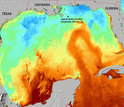 The Gulf of Mexico's loop current carried oil beyond the site of the disaster.